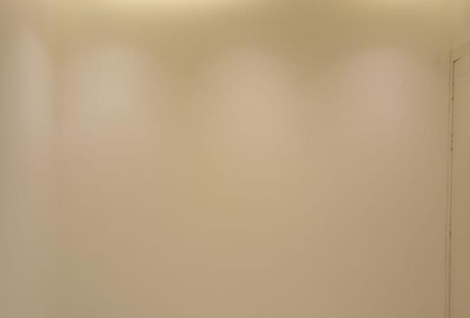 251198 - صورة العقار 3