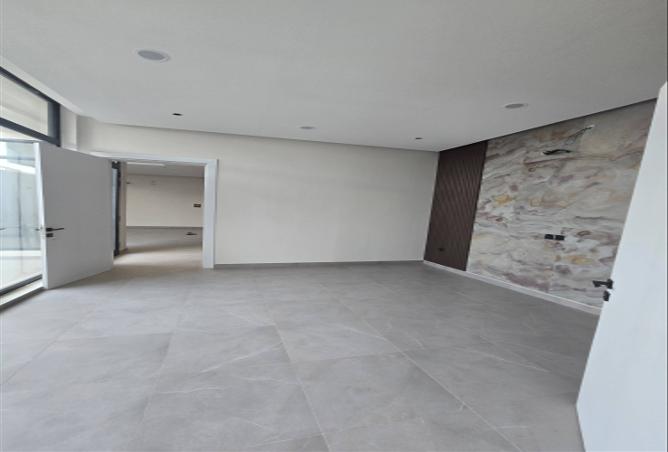 254218 - صورة العقار 3