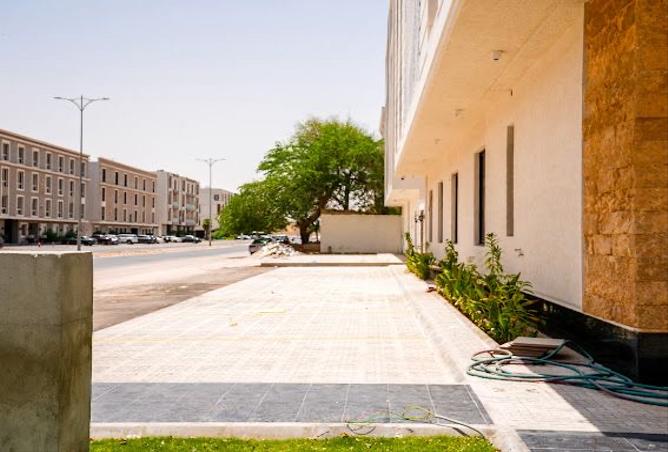 254784 - صورة العقار 3