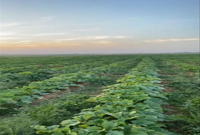 255960 - Property Image 2