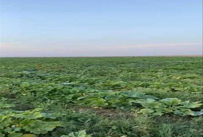 255960 - Property Image 3