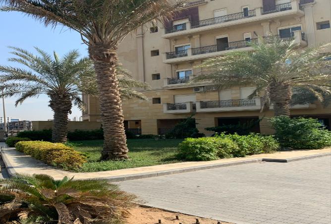 256856 - صورة العقار 3