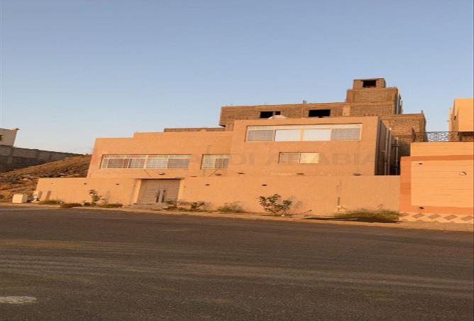 257286 - صورة العقار 3