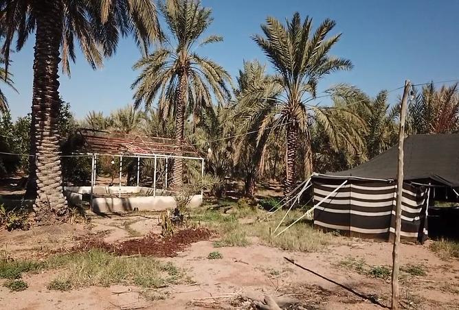 257570 - Property Image 3