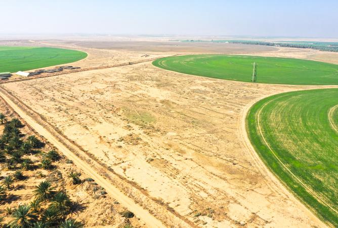 257590 - Property Image 3