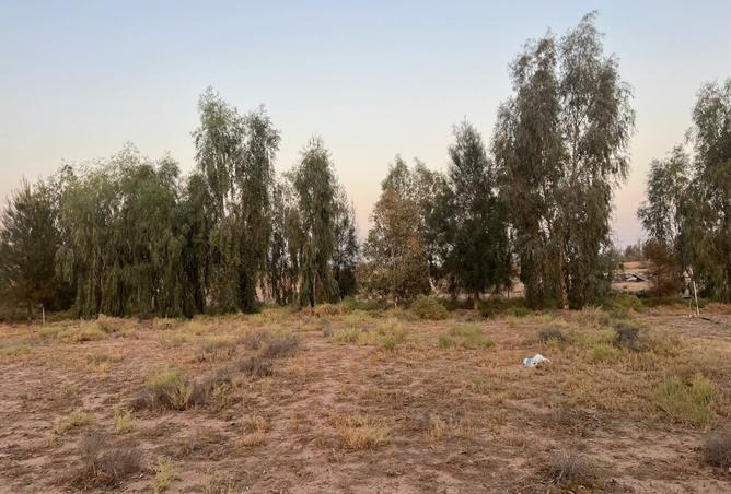 257598 - Property Image 2