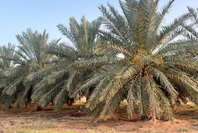 257623 - Property Image 2