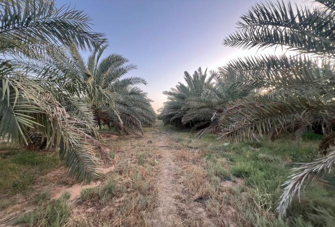 257634 - Property Image 3