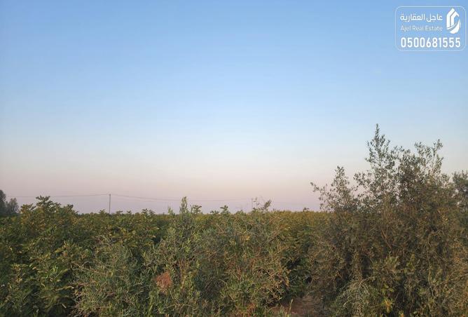 257744 - Property Image 2