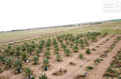 Farm - Studio for sale in الودى - Wadi Alhizm Alwidiyi - Hail