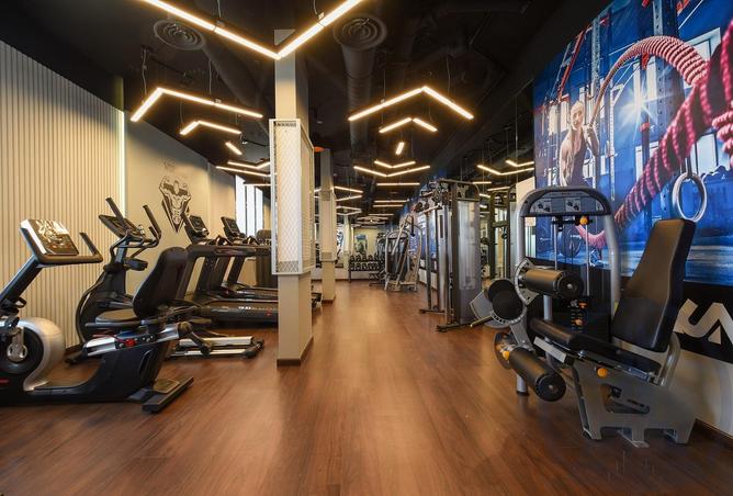 51072997 - Property Image 3