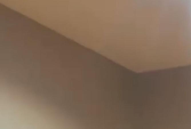 51898455 - صورة العقار 2