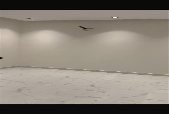 259423 - صورة العقار 2