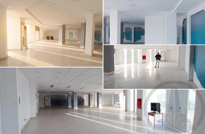 Show Room - Studio for rent in As Sulimaniyah - Hafar Al Batin - Eastern