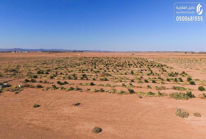 257783 - Property Image 3