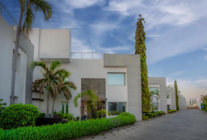 51437710 - Property Image 3
