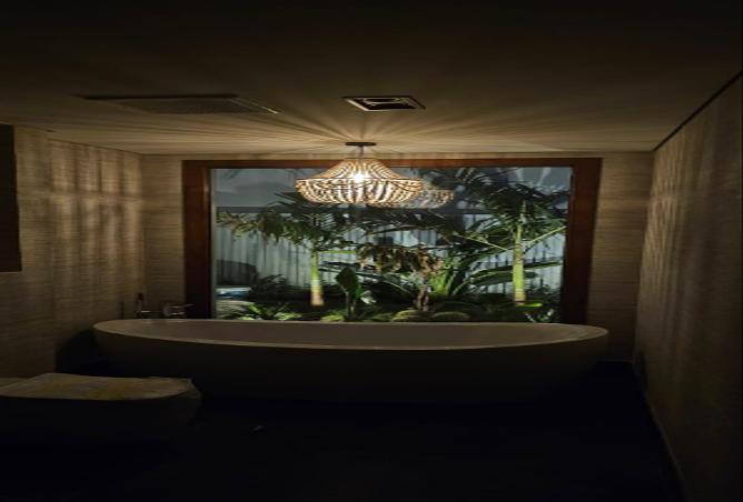 259566 - Property Image 3