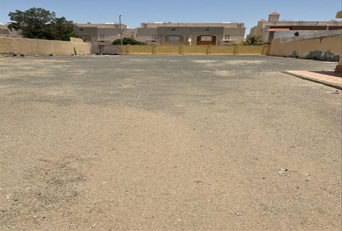 51410283 - Property Image 3