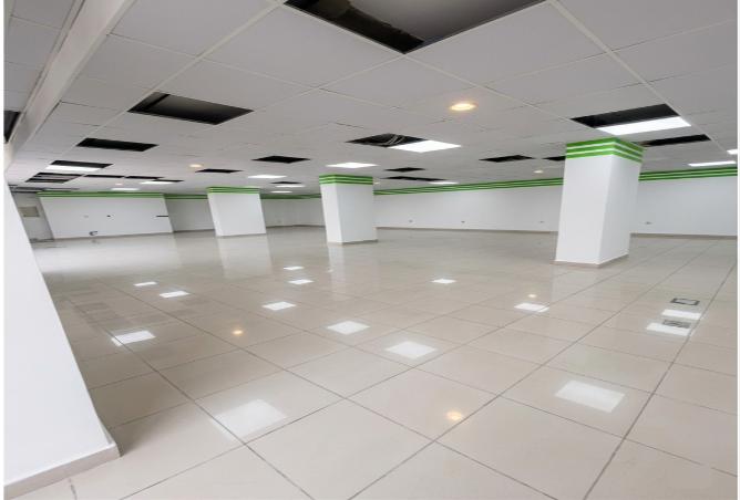 51910398 - صورة العقار 3