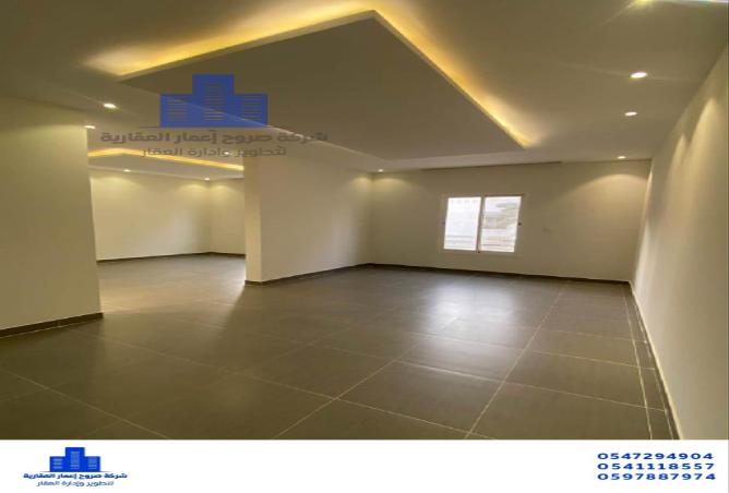 52086092 - Property Image 3