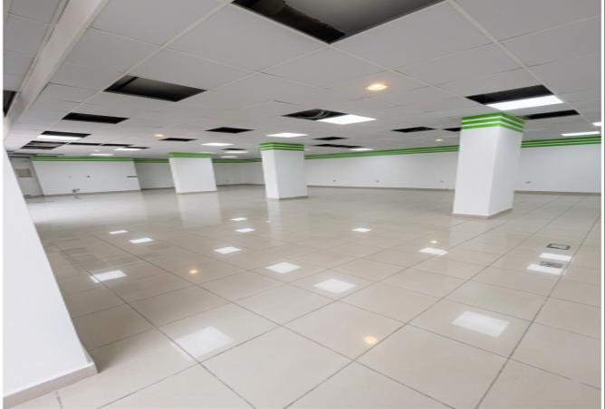 51991316 - صورة العقار 2