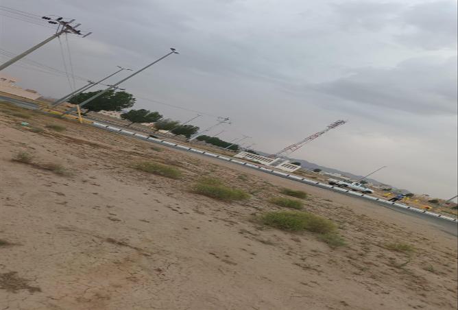 51231342 - Property Main Image