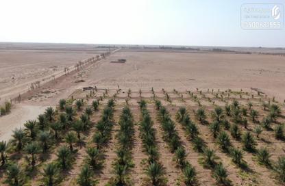 Farm - Studio for sale in الودى - Wadi Alhizm Alwidiyi - Hail
