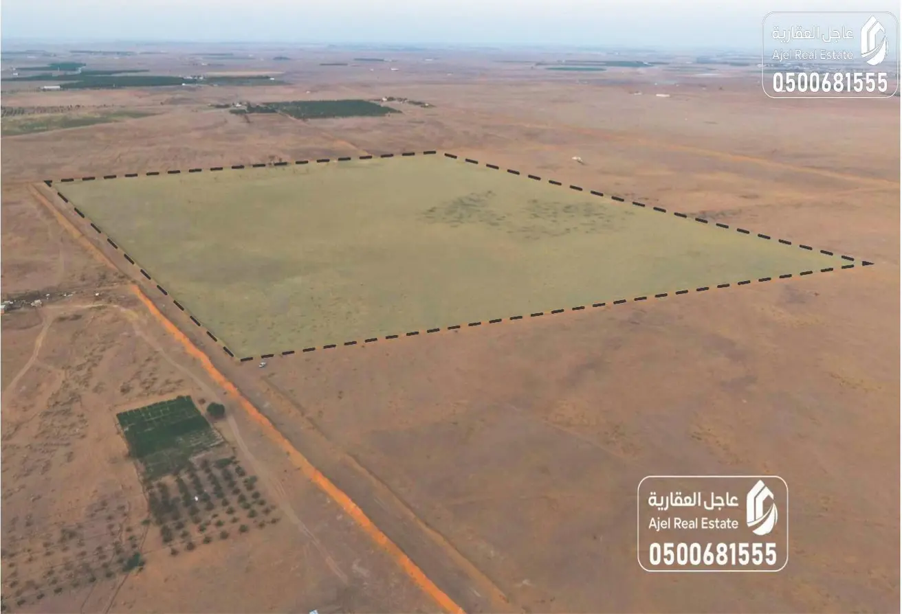 51328143 - Property Main Image
