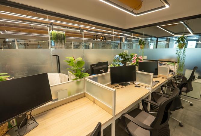 259431 - Property Image 3