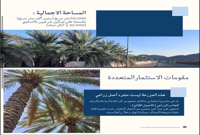 2PFqEcAhmsa - صورة العقار 3