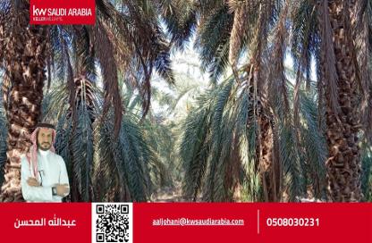 Farm - Studio for sale in وادي الحمض - Al Madinah Al Munawwarah - Al Madinah Al Munawwarah