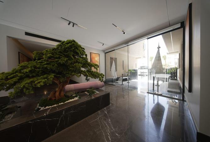 51531495 - Property Image 2