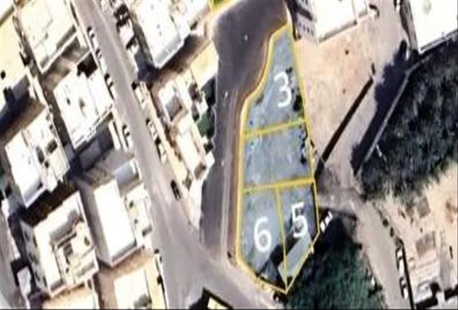 51083404 - Property Image 3