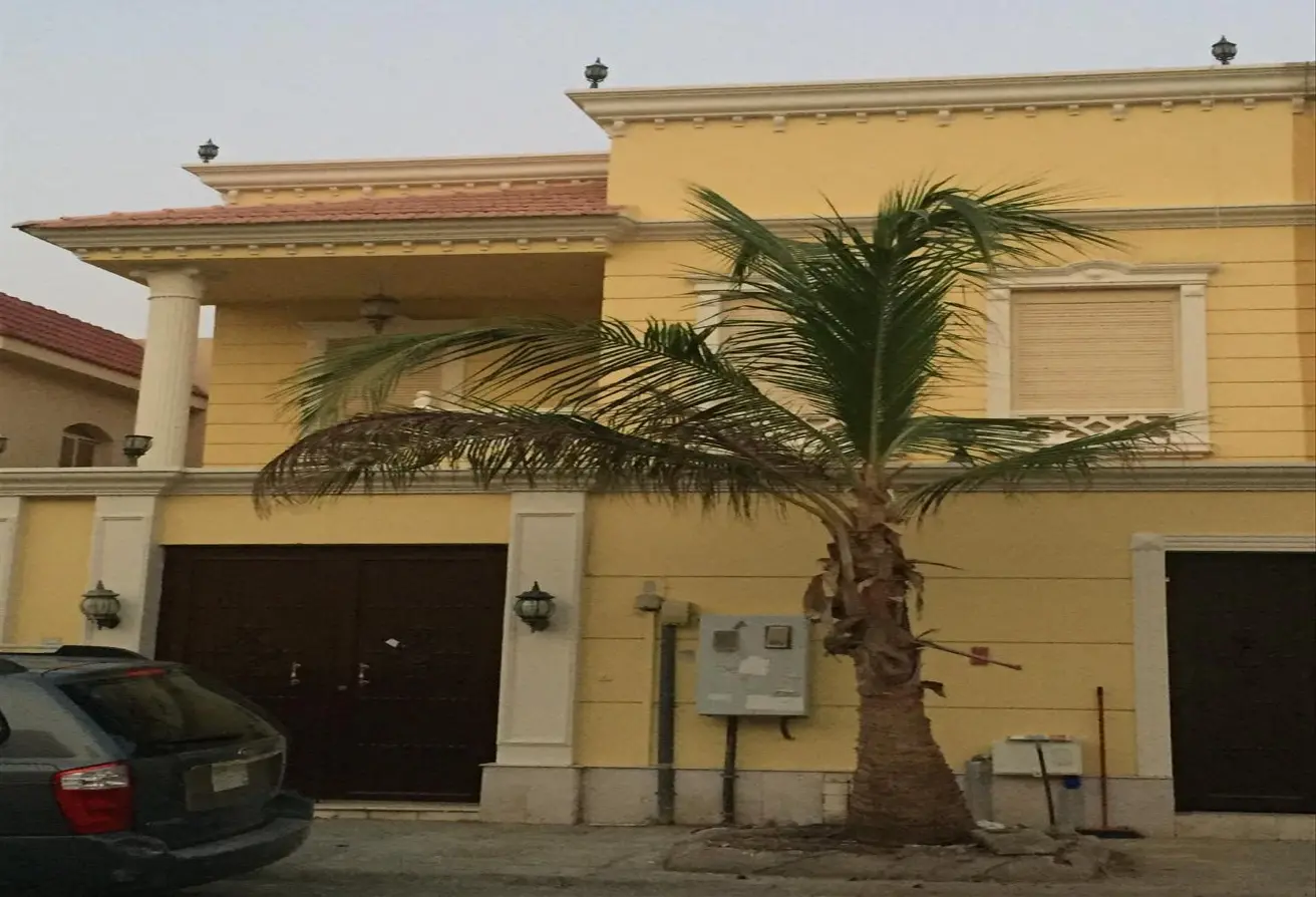51698974 - Property Main Image