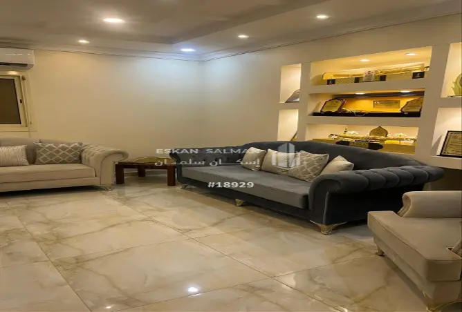 51004446 - Property Image 3