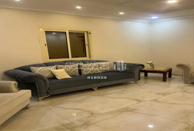 51004446 - Property Image 2