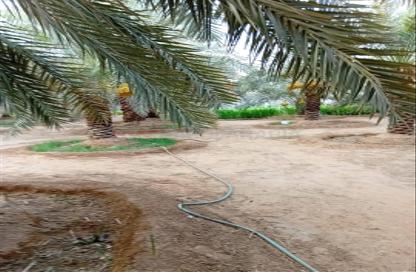 مزرعة - استوديو للبيع في الضبيعة - الخرج - الرياض