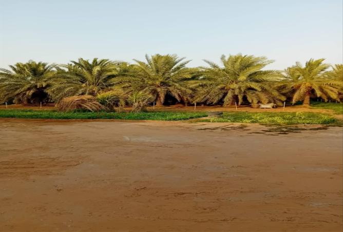 51600224 - صورة العقار 2