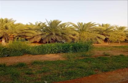مزرعة - استوديو للبيع في الضبيعة - الخرج - الرياض