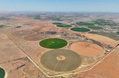 Farm - Studio for sale in المندسة الشرقية - المندسه الشرقيه - Hail
