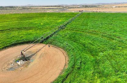 Farm - Studio for sale in المندسة الشرقية - المندسه الشرقيه - Hail