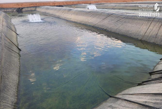 257941 - Property Image 2