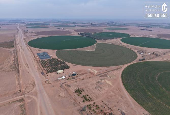 257941 - Property Image 3