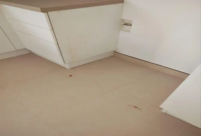 51740054 - Property Image 2