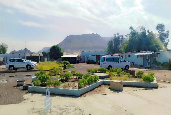 52019267 - صورة العقار 2