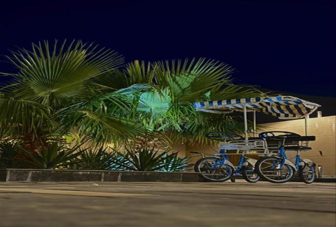 51104110 - صورة العقار 2