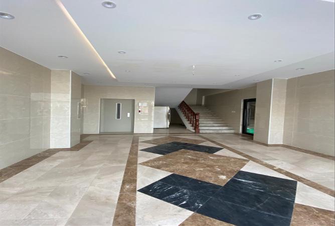 51371601 - Property Image 3