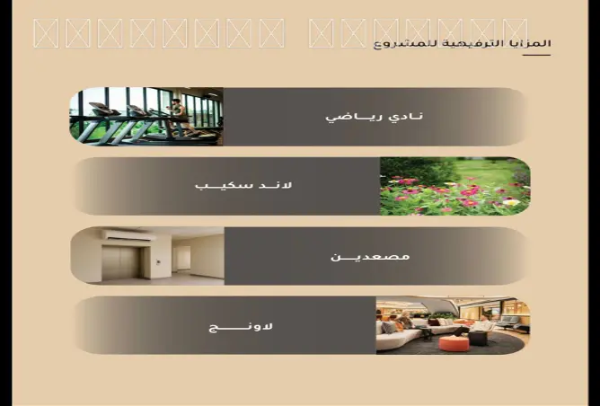 52025184 - Property Image 3