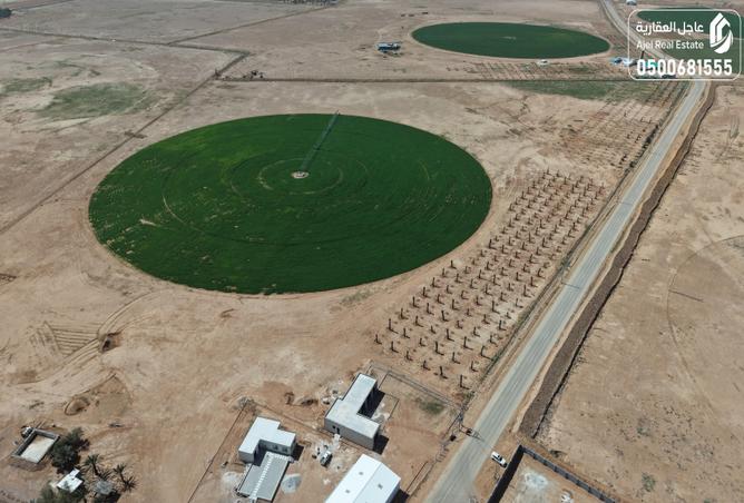 51032234 - صورة العقار 3