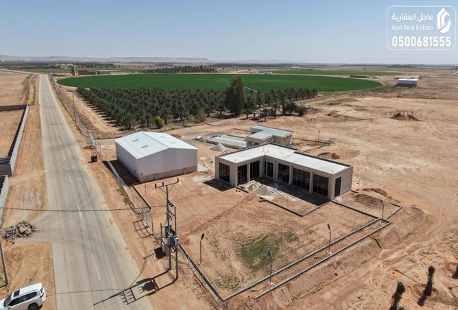 51032234 - صورة العقار 2